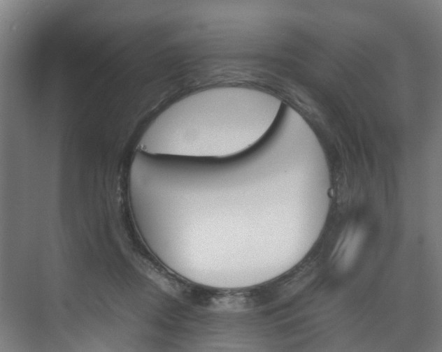 X0000075840362200609150918