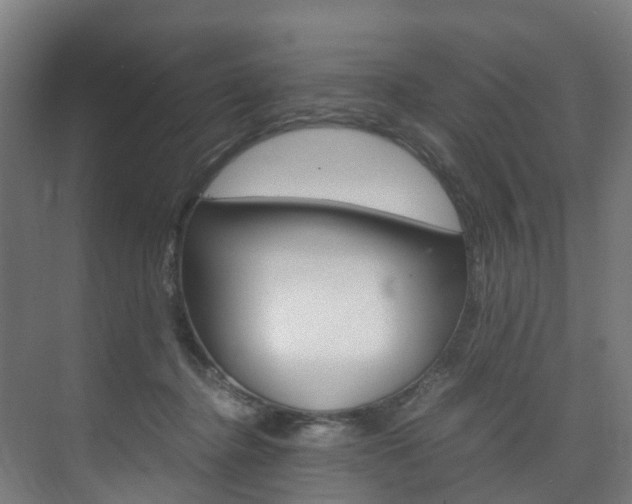 X0000075840364200609150918