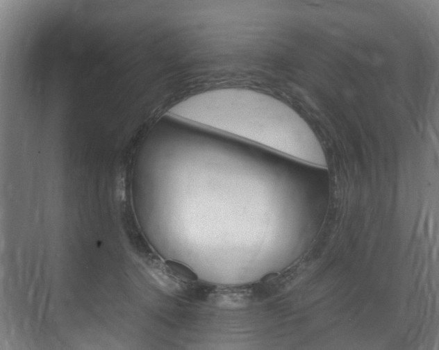 X0000075840368200609150918