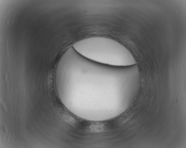 X0000075840369200609150918