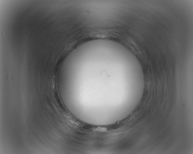 X0000075840374200609150918