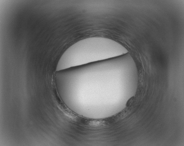 X0000075840375200609150918