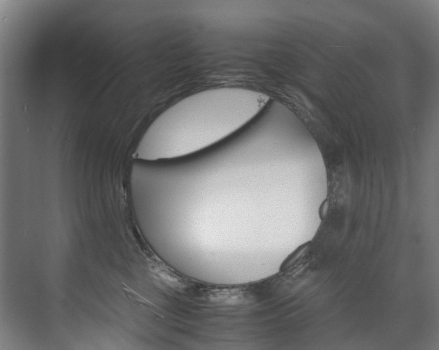 X0000075840377200609150918