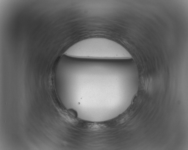 X0000075840379200609150918