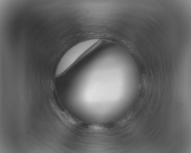 X0000075840380200609150918