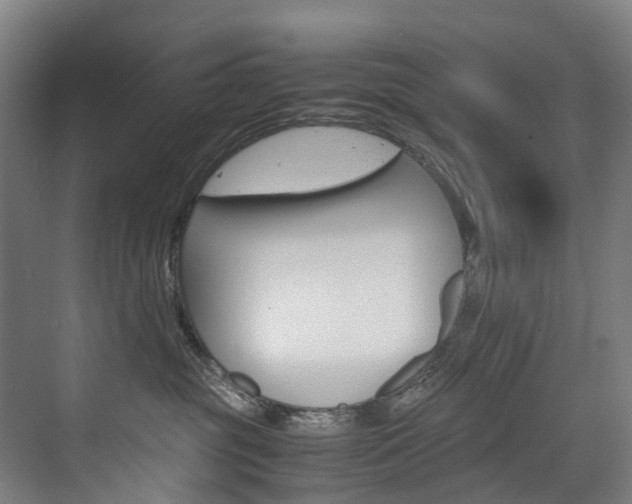 X0000075840381200609150918