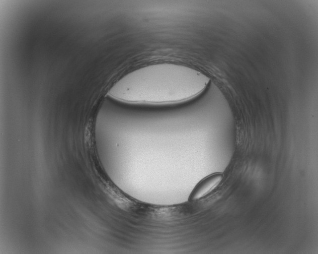 X0000075840382200609150918