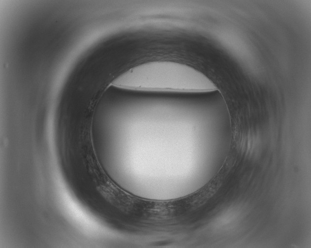 X0000075840383200609150918