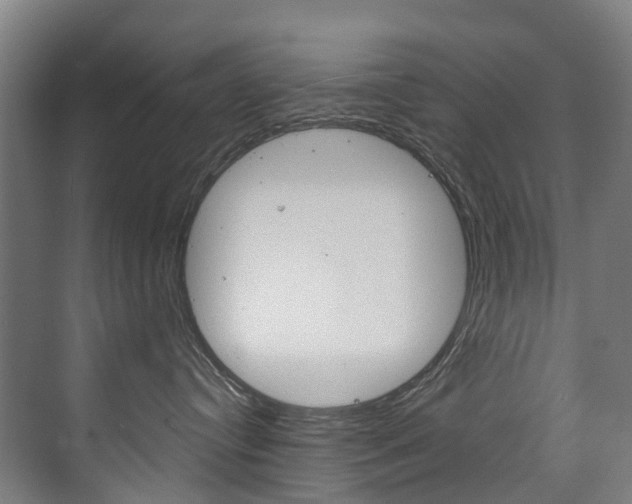 X0000075840384200609150918