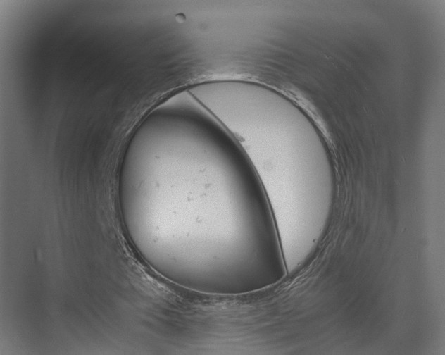 X0000075840385200609150917