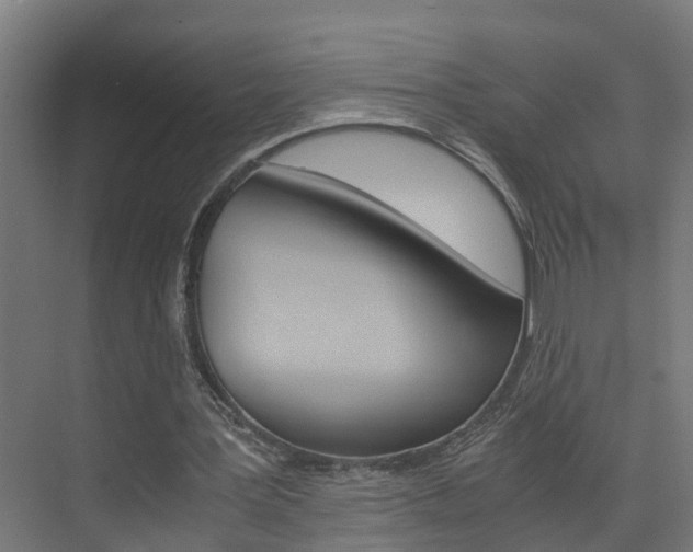 X0000075840387200609150917