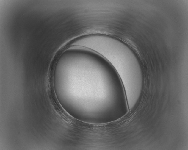 X0000075840388200609150917