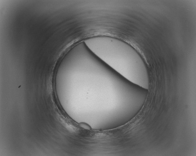 X0000075840390200609150917