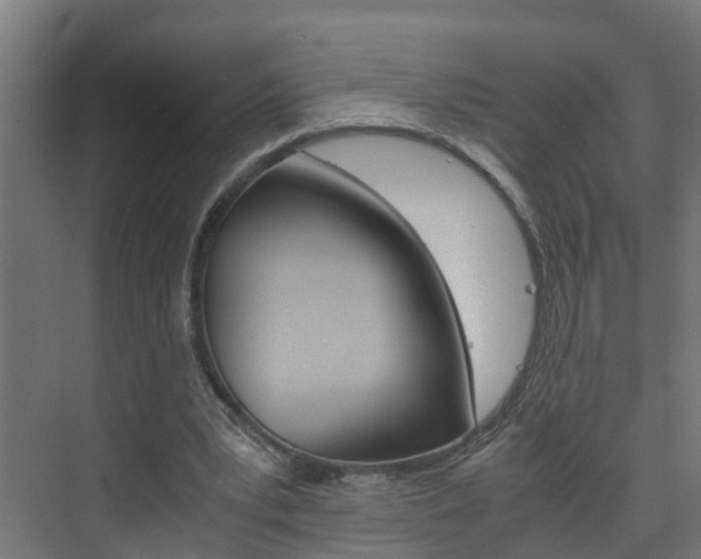 X0000075840391200609150917