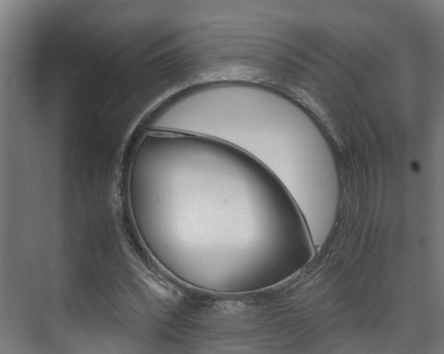 X0000075840392200609150917