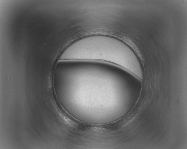 X0000075840393200609150917