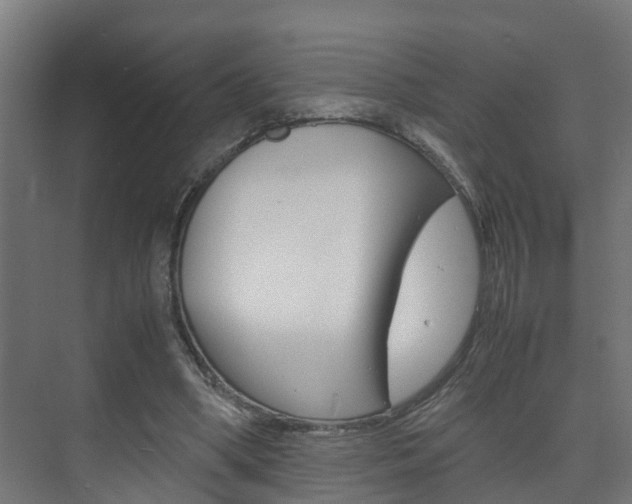 X0000075840394200609150917