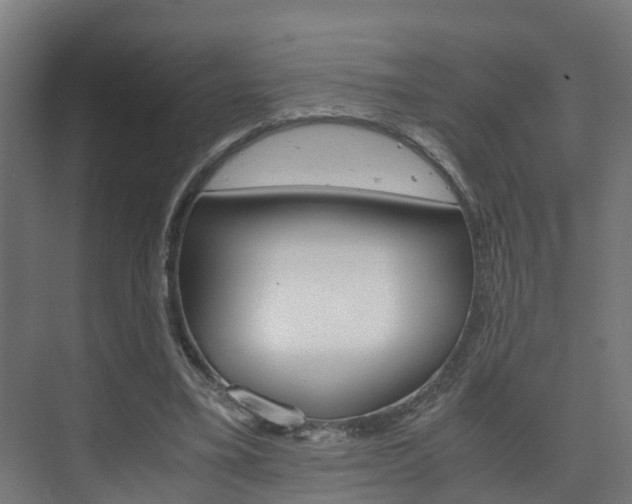 X0000075840395200609150917