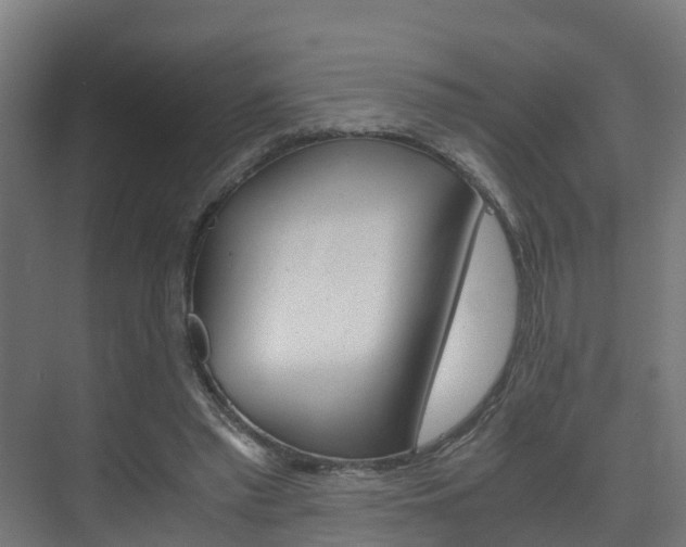 X0000075840397200609150917