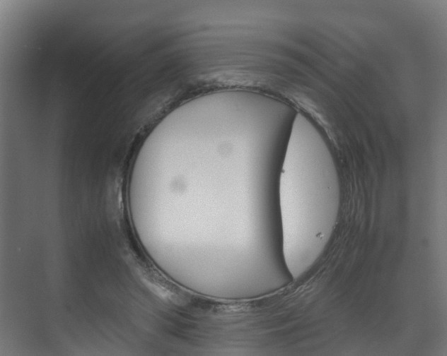 X0000075840398200609150917