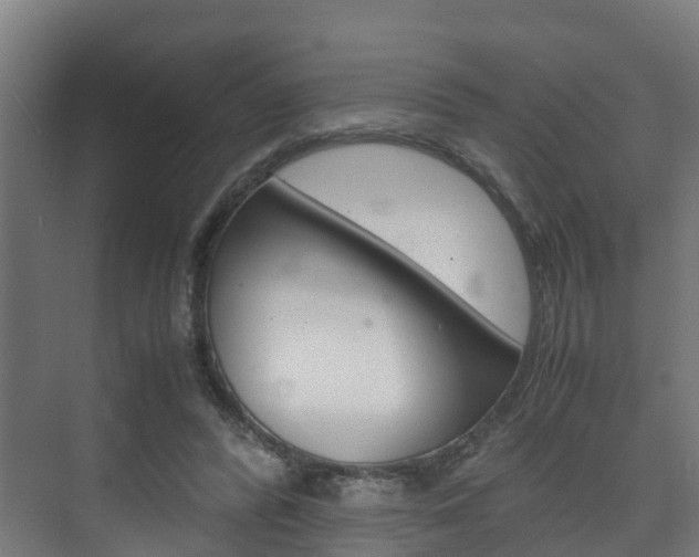 X0000075840400200609150917