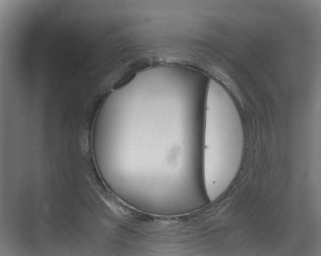 X0000075840401200609150917