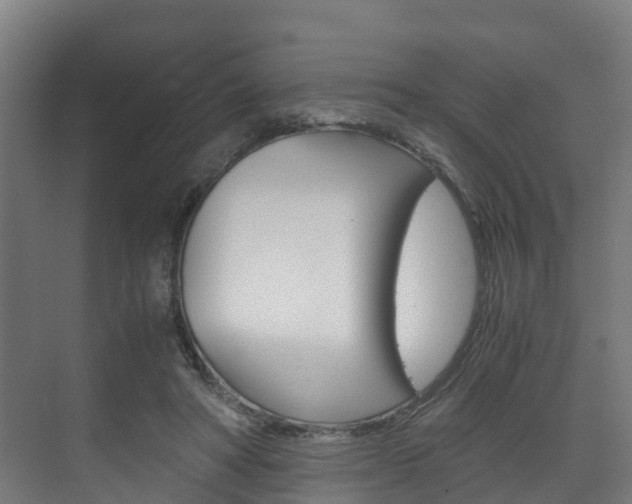 X0000075840402200609150917