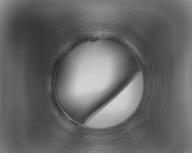 X0000075840403200609150917