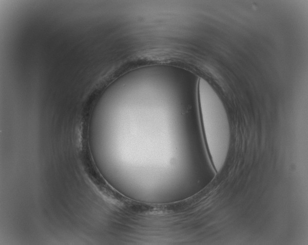 X0000075840404200609150917