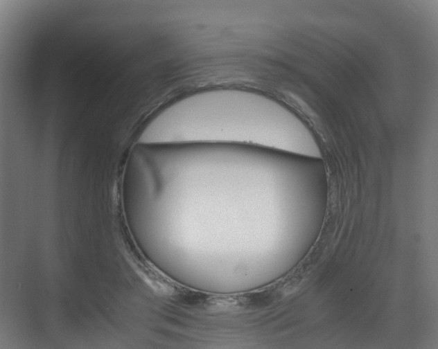 X0000075840405200609150917