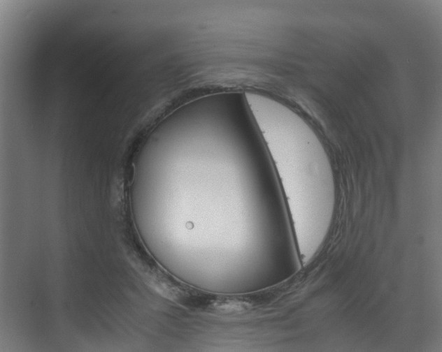 X0000075840407200609150917