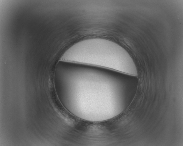 X0000075840408200609150917