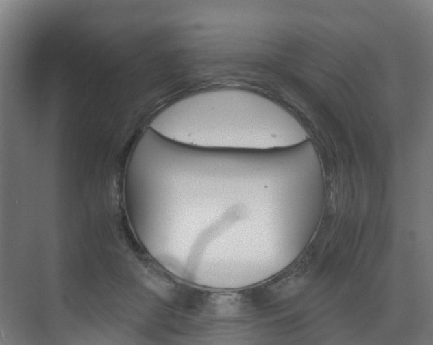 X0000075840410200609150917