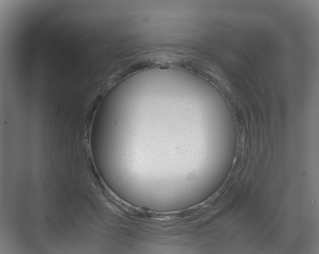 X0000075840411200609150917