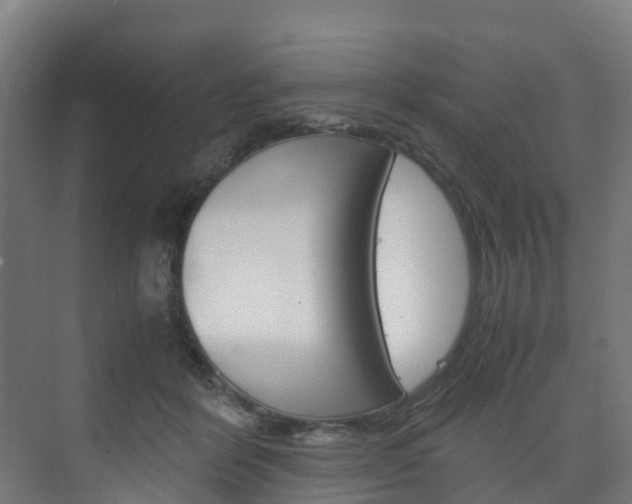 X0000075840412200609150917