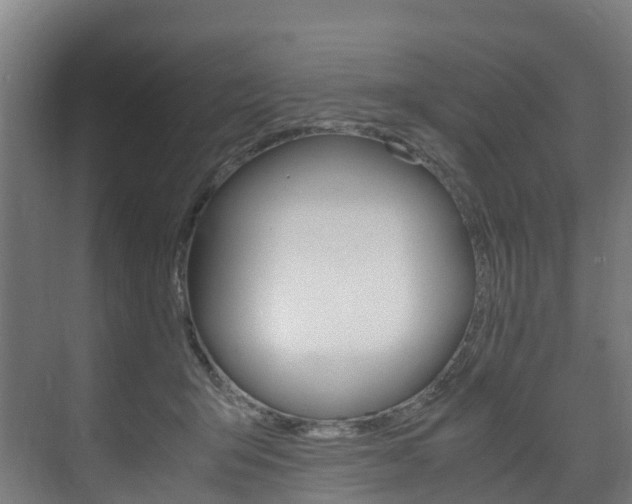 X0000075840415200609150917