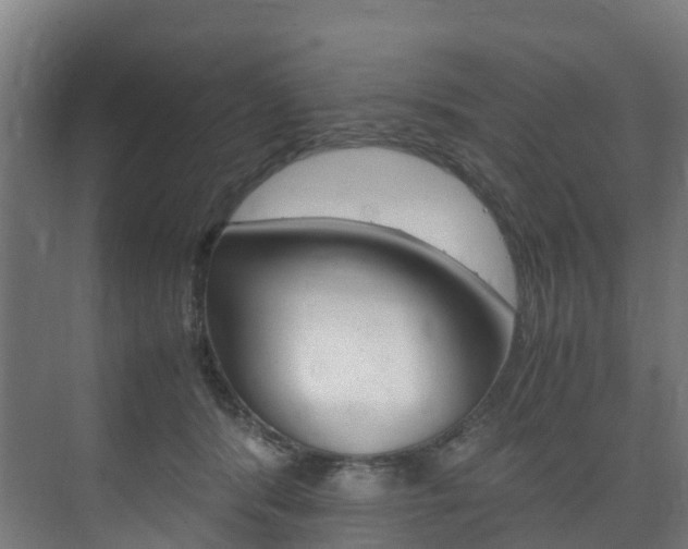 X0000075840416200609150917