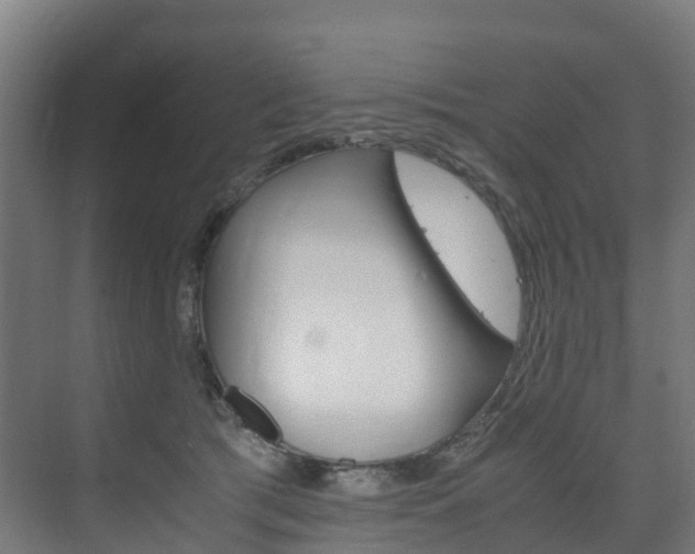 X0000075840417200609150917