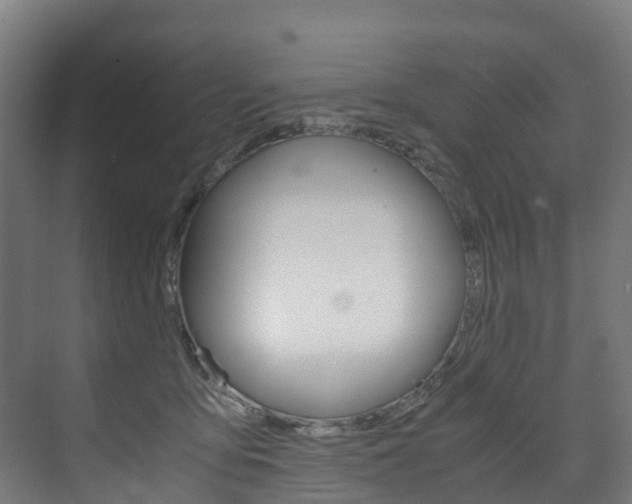 X0000075840419200609150917