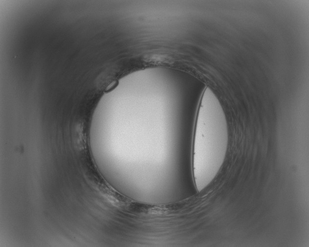 X0000075840420200609150917