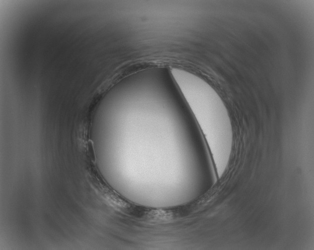 X0000075840421200609150917