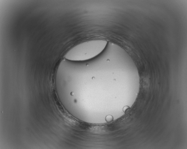 X0000075840422200609150917