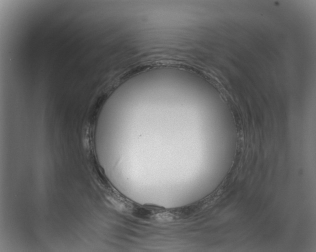 X0000075840423200609150917