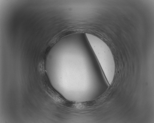 X0000075840425200609150917