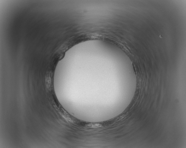 X0000075840427200609150917