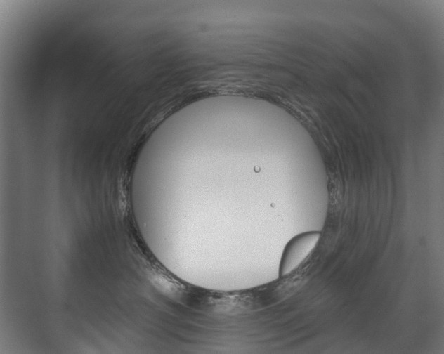 X0000075840430200609150916