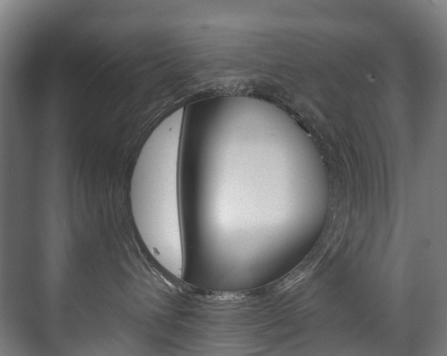 X0000075840432200609150916