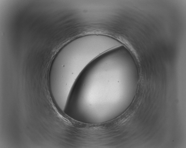 X0000075840433200609150916