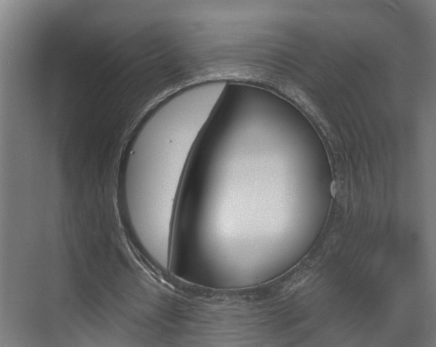 X0000075840434200609150916