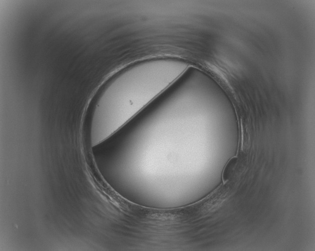 X0000075840435200609150916